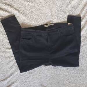 Madewell NWT 10" High Rise Skinny Jeans